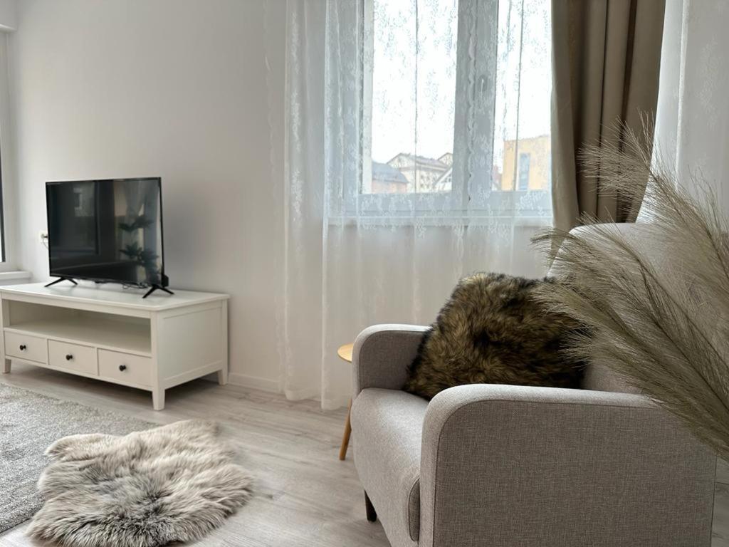 City Center Accommodation 111 レシツァ エクステリア 写真